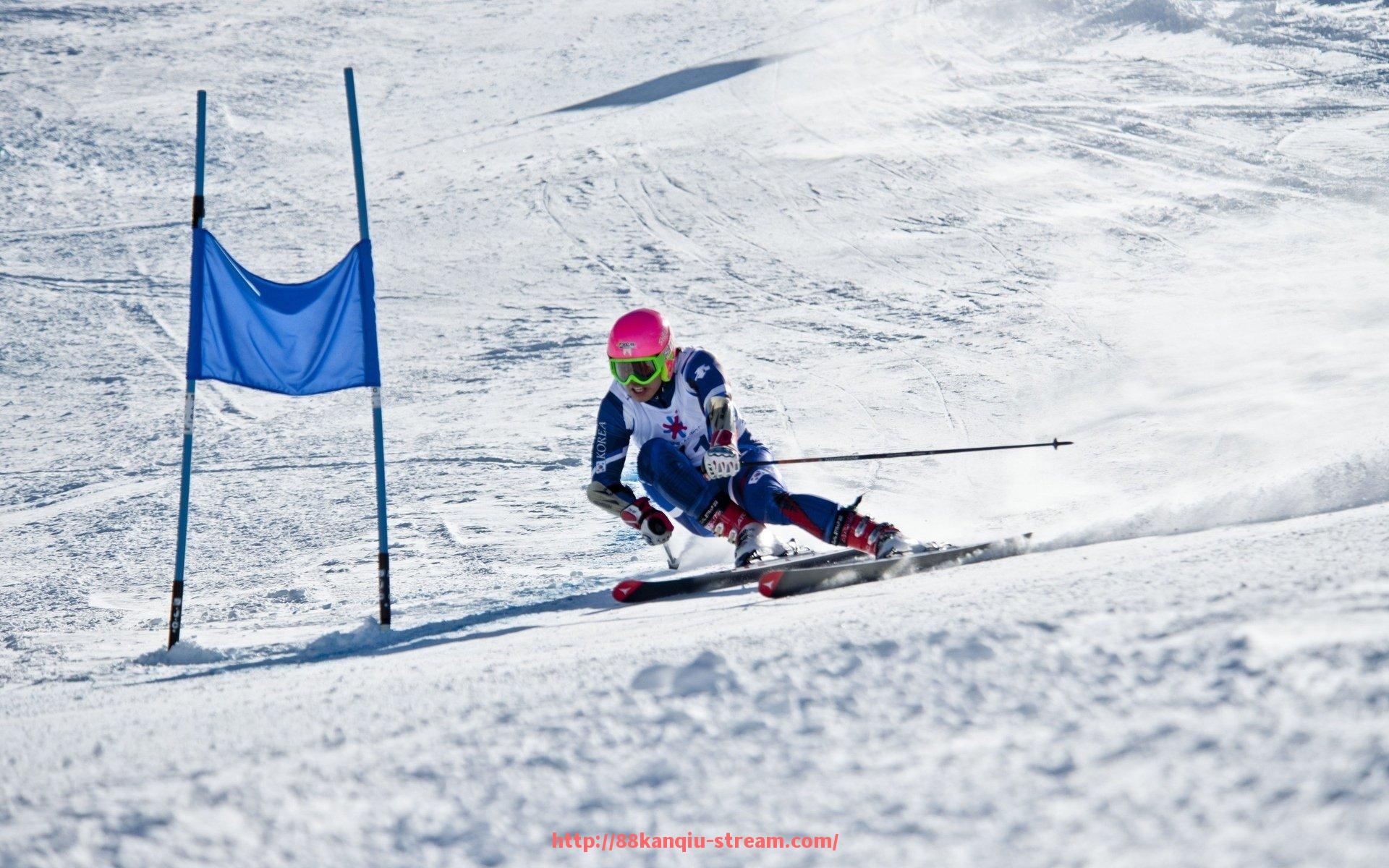 88看球网-拜仁成德甲球队队员名单最新更新及核心阵容解析